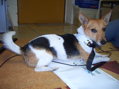 Bild3